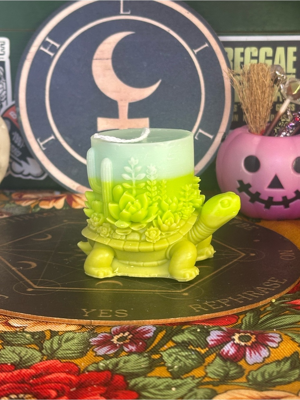 Desert Tortoise Succulent Candle